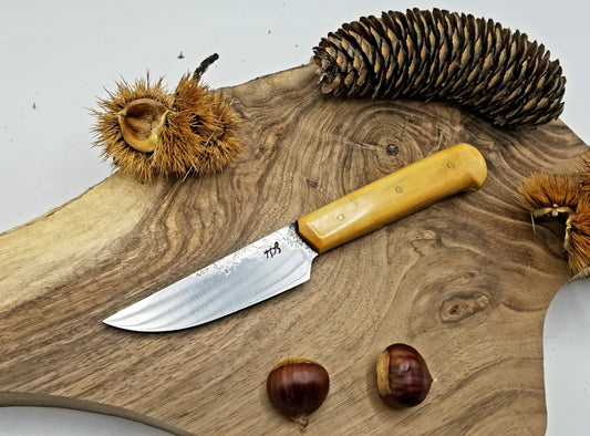 Couteau de table avec lame forgée 100cr6 manche en buis